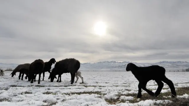बर्फीली पहाड़ियां