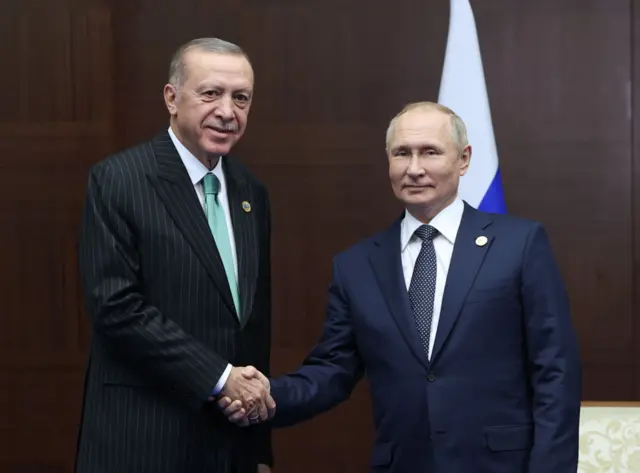 erdoğan ve putin 