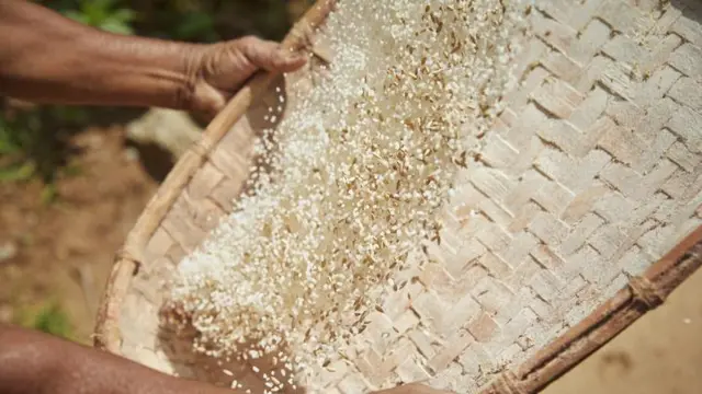 මෙරට තුළ නිෂ්පාදනය කරනු ලබන සහල් වර්ග අතරින් වැඩි ප්රමාණයක් නාඩු සහල් වේ.