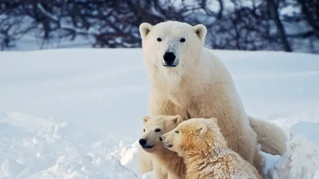 `வரலாற்றின் தொங்குநிலையில்' நாம் வாழ்கிறோமா?