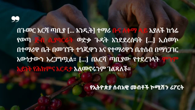 ቡና የሚለቅም እጅ