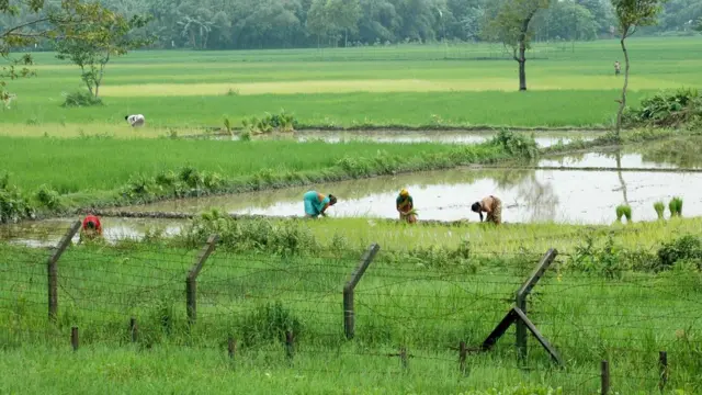 আসাম-বাংলাদেশ সীমান্তে কাঁটাতারের বেড়া