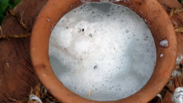 కొబ్బరి కల్లు