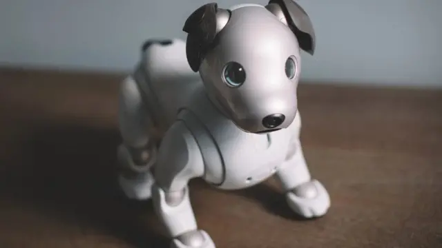 Cão Aibo