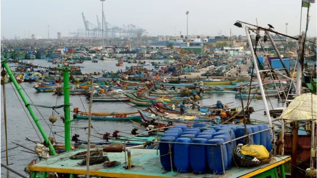 নিরাপত্তা বিশেষজ্ঞরা বলছেন, রেডার ব্যবস্থার মাধ্যমে সাগরে অবৈধ মাছ ধরা বন্ধ করা সম্ভব হবে।