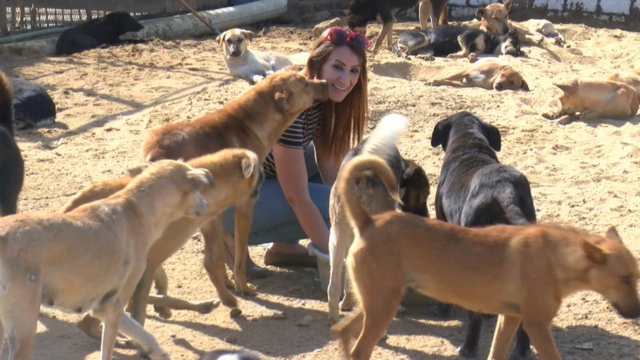 نجي طارق نائب رئيس الجمعية الخيرية