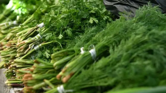 Les herbes aromatiques sont considérés comme un moyen de relever le goût des plats