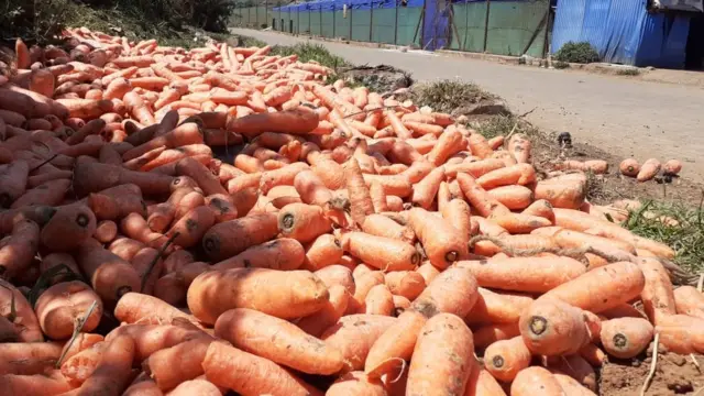 ஊரடங்கு உத்தரவால் பாதிக்கப்பட்டுள்ள ஊட்டி மலைக்காய்கறி விவசாயிகள்