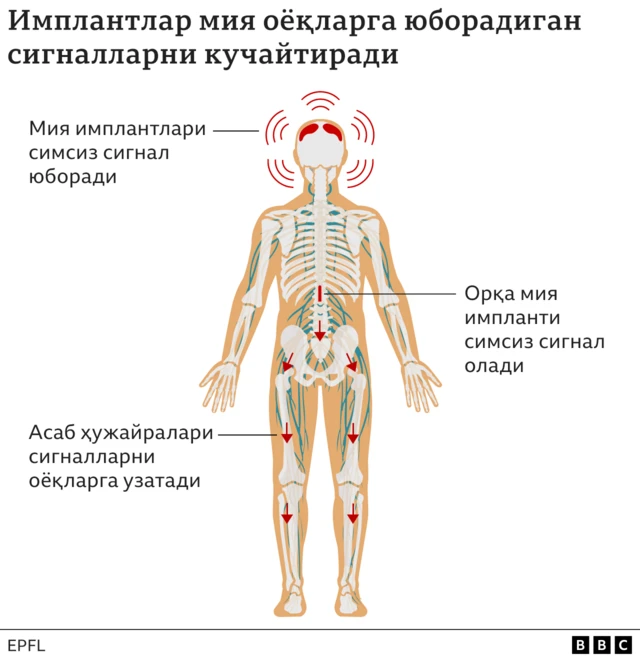 Самые дешевые для жизни страны в году