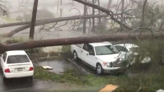 2018 అక్టోబరులో మైకేల్ హరికేన్ విధ్వంసం