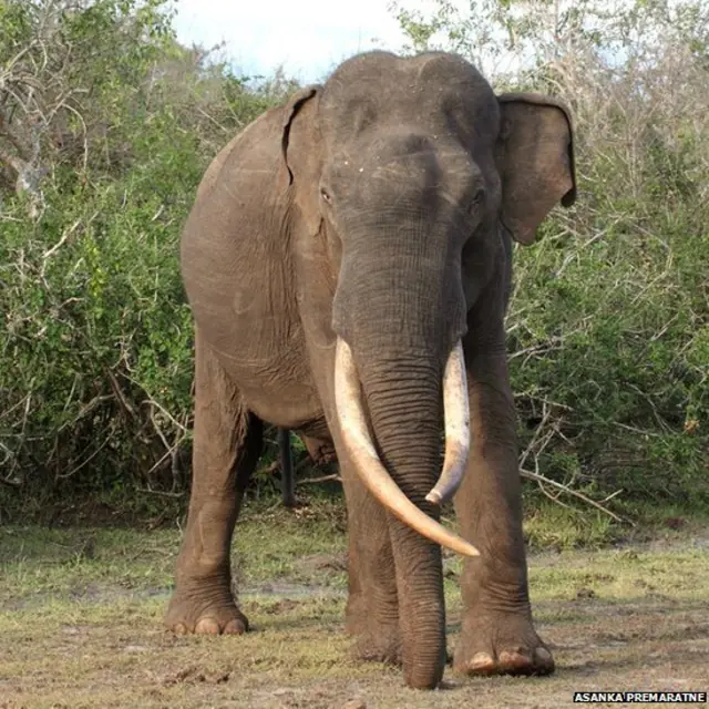 please don't use this picture for any other purposes