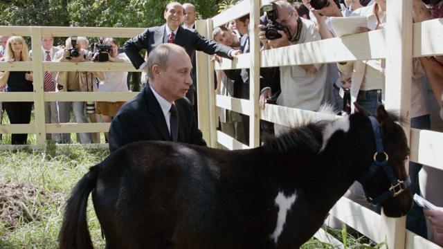 Путин и пони Вадик