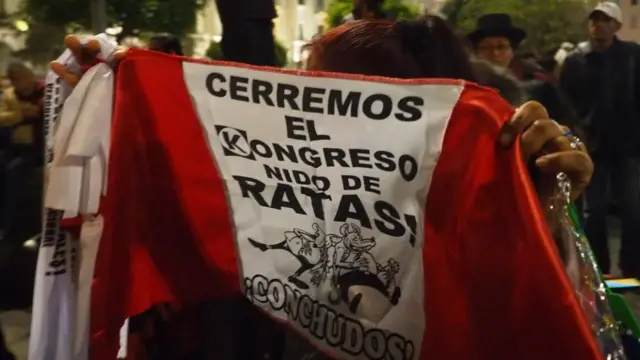 bandera con el mensaje "Cerremos el kongreso, nido de ratas".