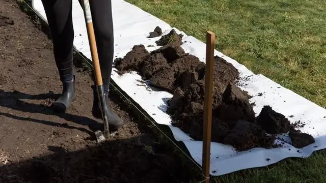 પર્યાવરણ, પરિબળો, બીબીસી, ગુજરાતી