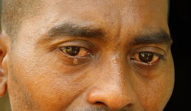 वाघांचा हल्ला