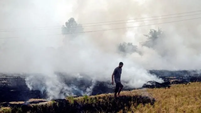 ਪਰਾਲੀ ਸਾੜਨ 