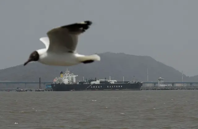 Kapal tanker berbendera India, Jag Vasant, yang mengangkut gas elpiji (LPG) setelah melintasi Selat Hormuz di tengah konflik yang sedang berlangsung di Timur Tengah, terlihat berlabuh di terminal bongkar muat di sepanjang pantai Mumbai, India, Rabu (01/04).