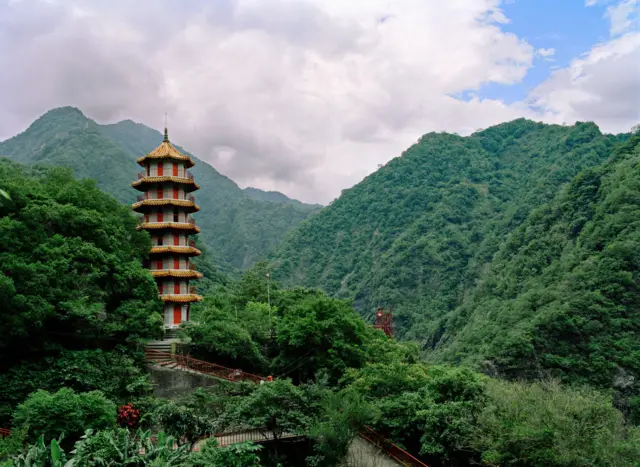 காலநிலை மாற்றம்: தைவானில் அழியப் போகும் 'கடவுளின் பூக்கள்' - அதன் சிறப்பு என்ன?