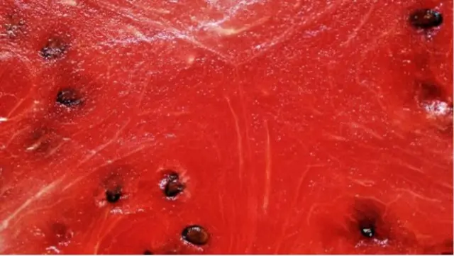 Une pastèque à chair rouge 