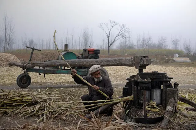 شوگر مل، چینی