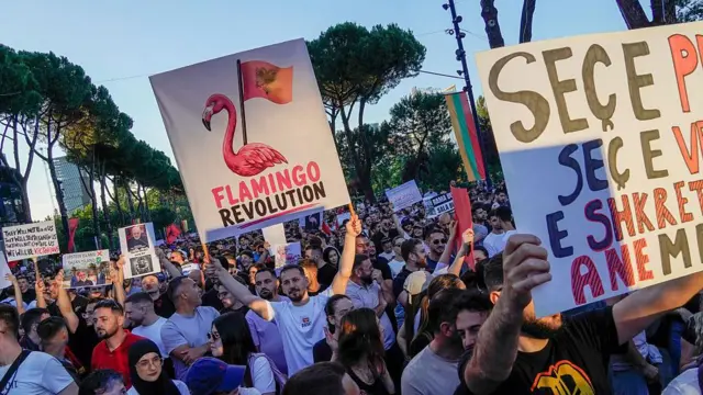 Un hombre sostiene un cartel con un flamengo y la frase "Revolución del flamenco".