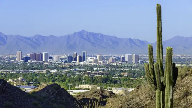 Un cáctus sahuaro y Phoenix, Arizona, de fondo.