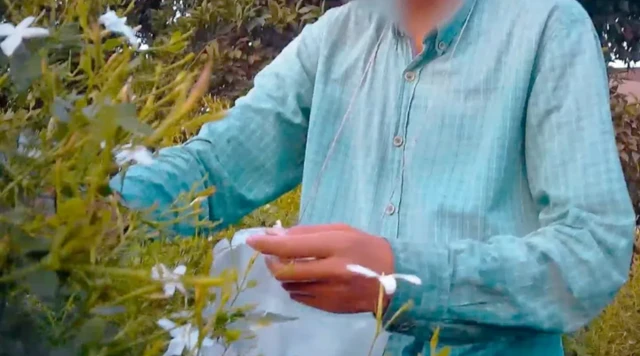 हम फूल तोड़ रहे ऐसे बच्चे से भी मिले, जो मछालिको पर्फ़्यूम कंपनी के खेत में काम कर रहा था.