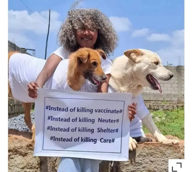 የእንስሳት መብት ተዓሟጋቿ ፌቨን መለሰ ሁለት ውሻዎችን እና " በመግደል ፋንታ አስክትቧቸው" የሚል መልዕክት ይዛ