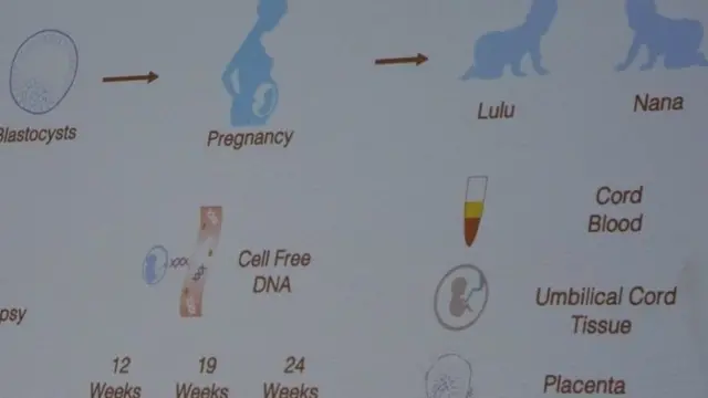 जीन सम्पादन