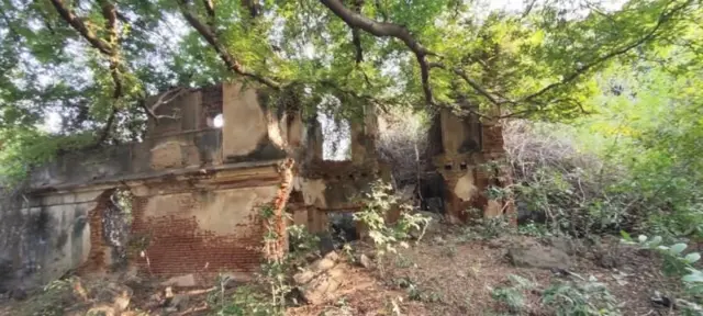 મુંડાચી ટૅક્સ, ભારત, આઝાદી, તામિલનાડુ, બ્રિટિશ શાસન, અંગ્રેજી, મહિલાઓ, બીબીસી ગુજરાતી