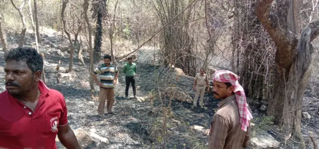 காட்டுத்தீ, தமிழகம்