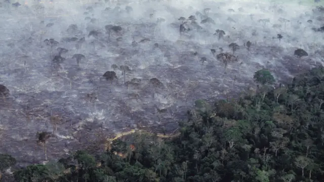Quema de árboles en el bosque amazónico brasileño