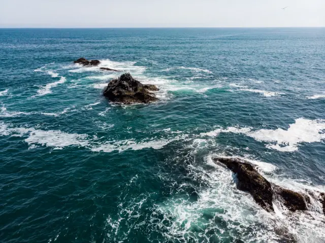 சுறாக்கள் ஒன்றுகூடும் கடலடி மலைகளுக்கு இழுவை மீன் பிடிப்பால் என்ன ஆபத்து?