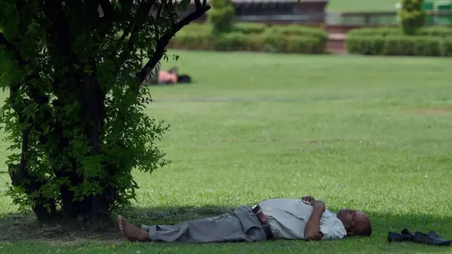 पार्क में सोता व्यक्ति