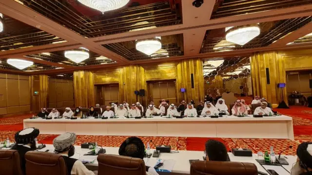 طالب پلاوی