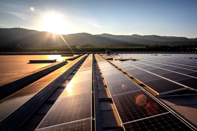 Paneles solares