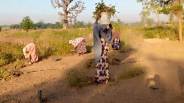 Àwọn ọkùnrin wá kọ̀ láti ṣe- Ìdí tí àwọn obìnrin ṣe n tọ́jú ibòjì okú ni abúle kan nípìńlẹ̀ Kano