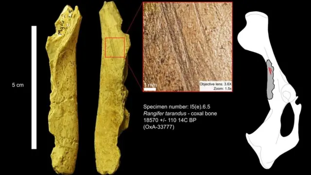 KAIYUN截圖預(yù)覽