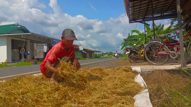 Keluarga Fadli pernah ikut menggarap sawah dalam Pengembangan Lahan Gambut (PLG) era Soeharto, namun gagal.