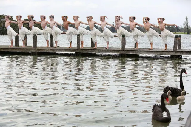Артисты «Лебединого озера» позируют на берегу озера Альберт Парка в Мельбурне, в озере плавают лебеди