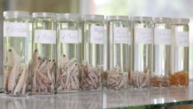 Trutas50 rodadas grátis de cassinoOhrid