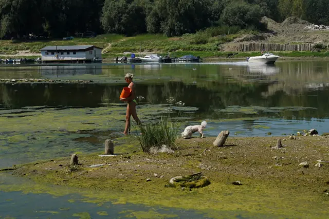 O femeie colectează scoici din albia Dunării după ce nivelul apei a scăzut, lângă o plajă din Călărași, România.
