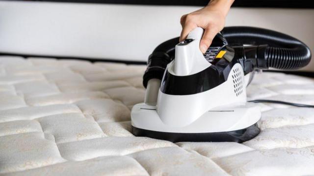 Limpezaloterias online login site caixa gov brcolchão