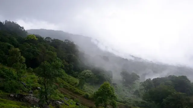 உயிரினங்களைக் காப்பாற்ற இந்தியா போதிய நடவடிக்கைகள் எடுக்கிறதா?