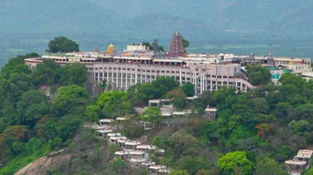பழனி கோயில், முருகன், த.வெ.க அரசு, தி.மு.க