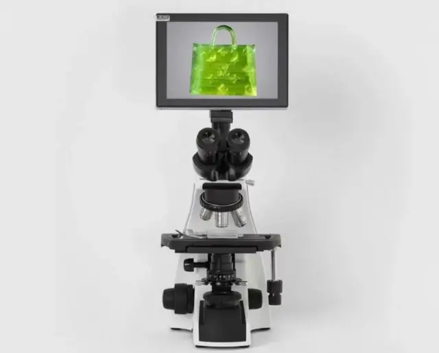 அமெரிக்கா, அறிவியல், பெண்கள்