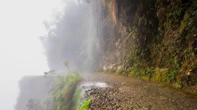 Waddada Yungas, Bolivia