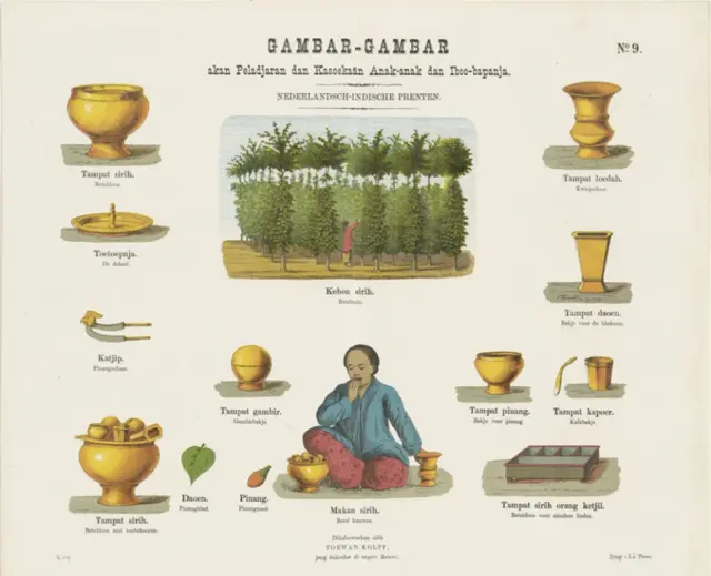 Flora Carita: Pinang