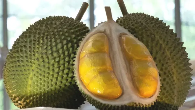 துரியன் பழம்