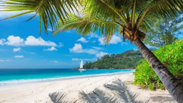 L'ackee et le poisson salé sont aussi synonymes de la Jamaïque que les plages parfaites de l'île.